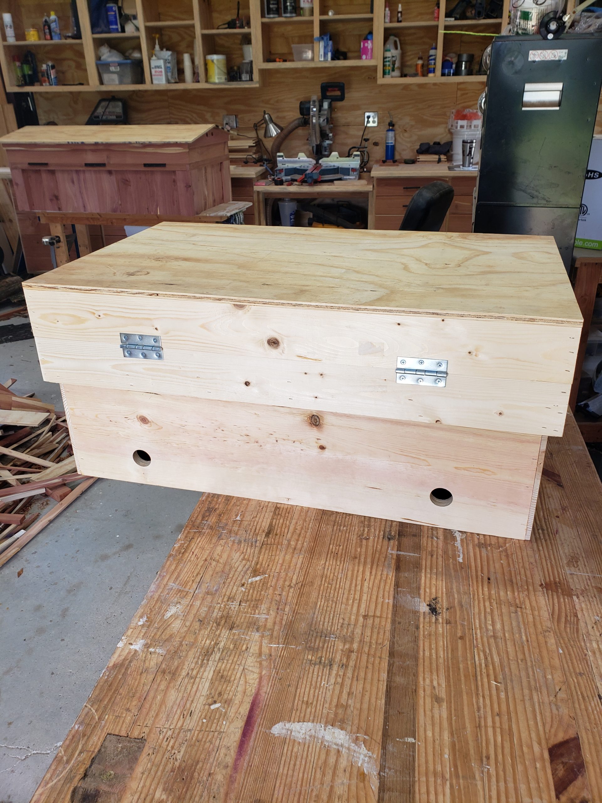 25 frame pine