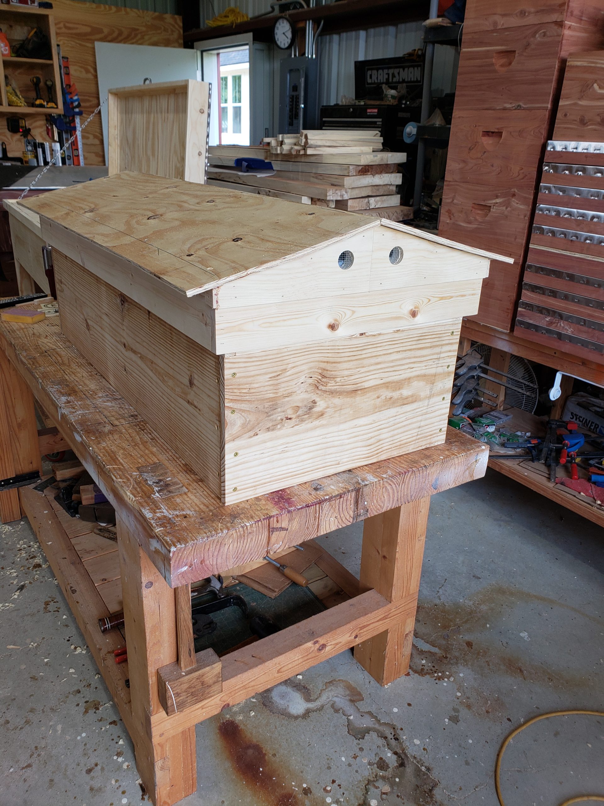Read more about the article Gabled Pine Long Lang