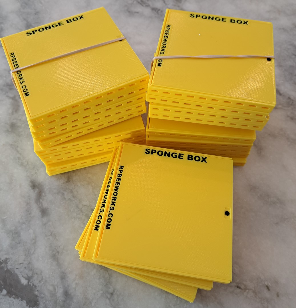 Sponge Box Beetle Traps-Solid - Image 6