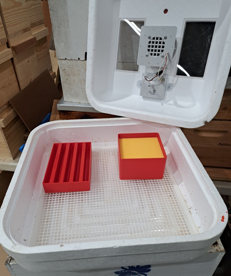 Sponge Tray - Image 3