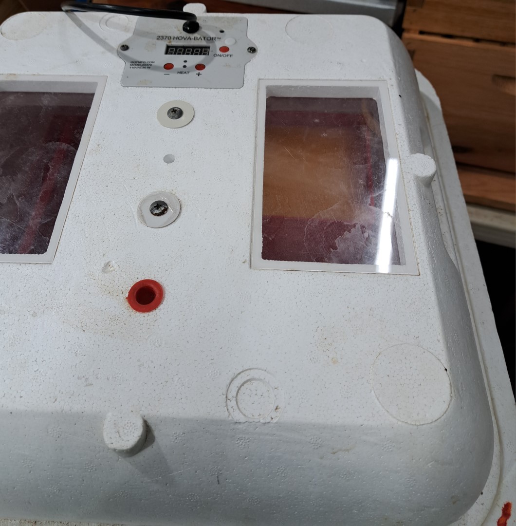 Sponge Tray - Image 4