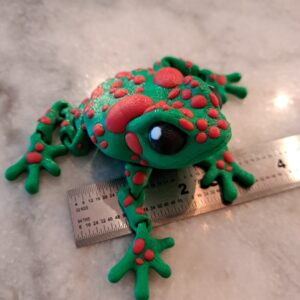 Spotted Frog